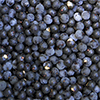 Extrakt z acai berry