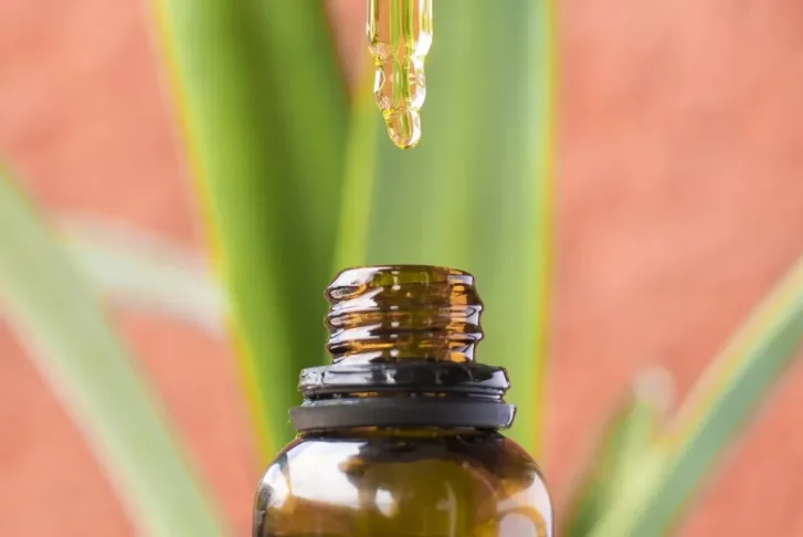 Konopný olej a jeho význam v hydrataci pokožky